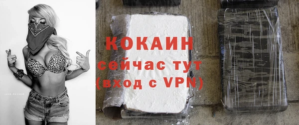 стаф Дмитриев