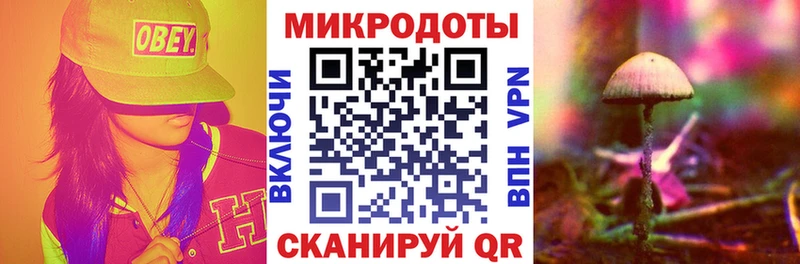 кракен как зайти Новороссийск Галлюциногенные грибы Cubensis