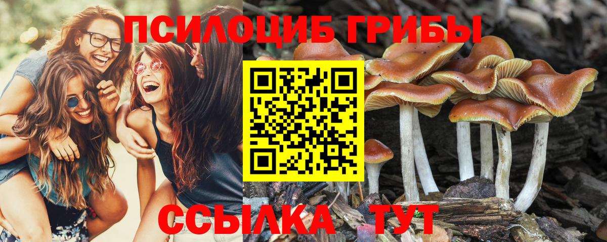 Псилоцибиновые грибы мухоморы Новороссийск